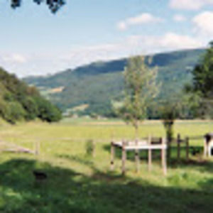 Meet your Posher, Sandy